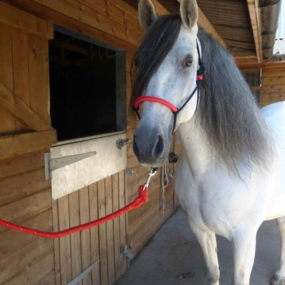 Moschettone con anello rettangolare per capezza e lunghina