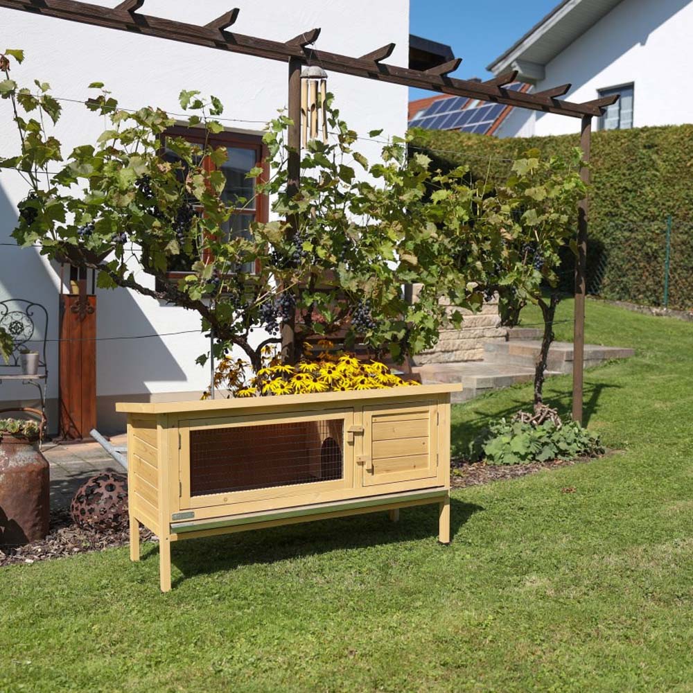 Casette per Conigli e Roditori Alfred | Fred