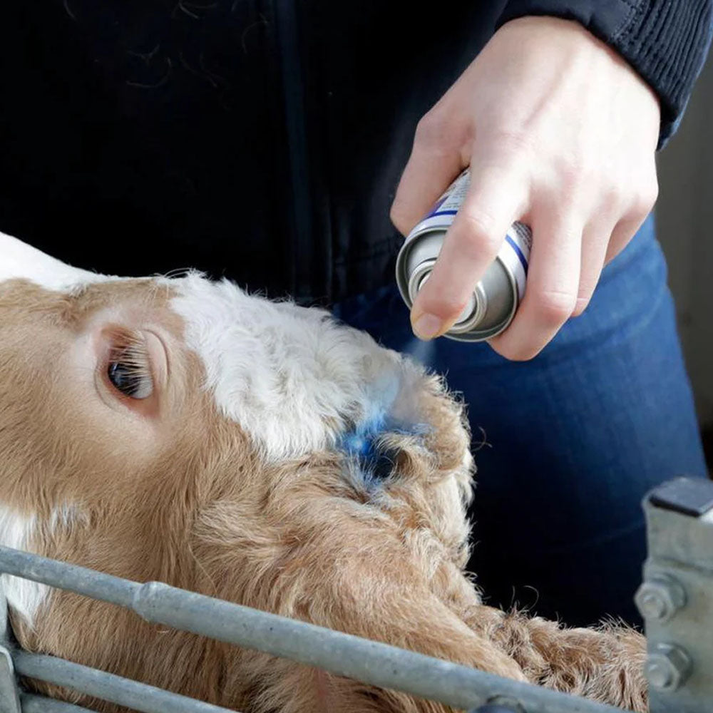 Blu Spray veterinario 200ml e 400ml