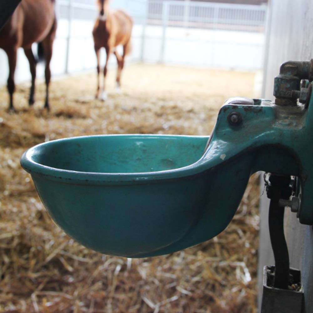 Abbeveratoio Modello 115 in Ghisa Smaltata Completa