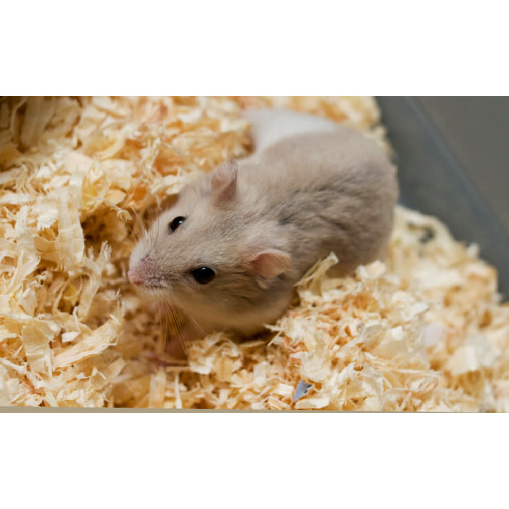 Lettiera Per Animali Piccoli Chipsi 3,2kg