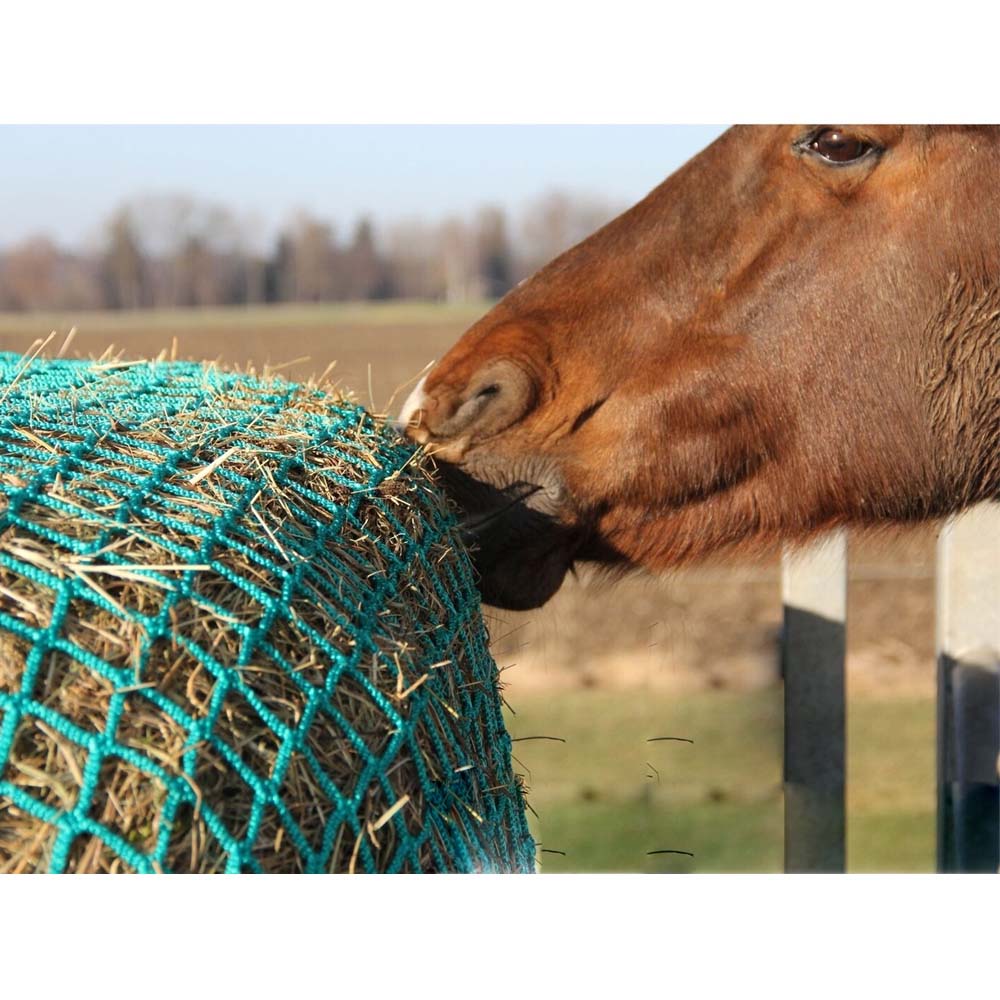 Alimentare Saver Rete 2,4 x 2,4 m