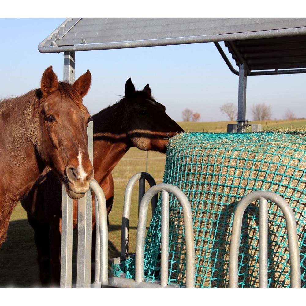 Alimentare Saver Rete 2,4 x 2,4 m