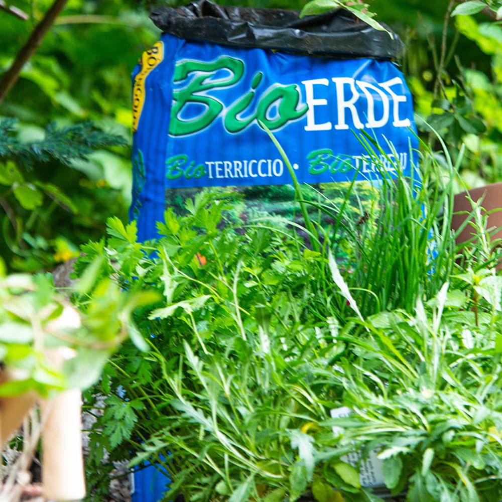 Bodengold Premium terriccio biologico 40l