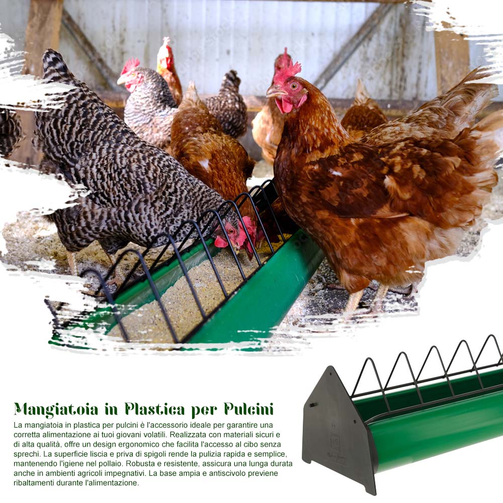 Mangiatoia in Plastica per Pulcini