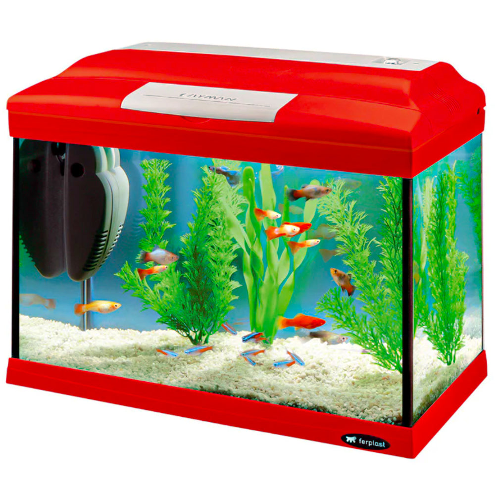Acquario Cayman 40 colori