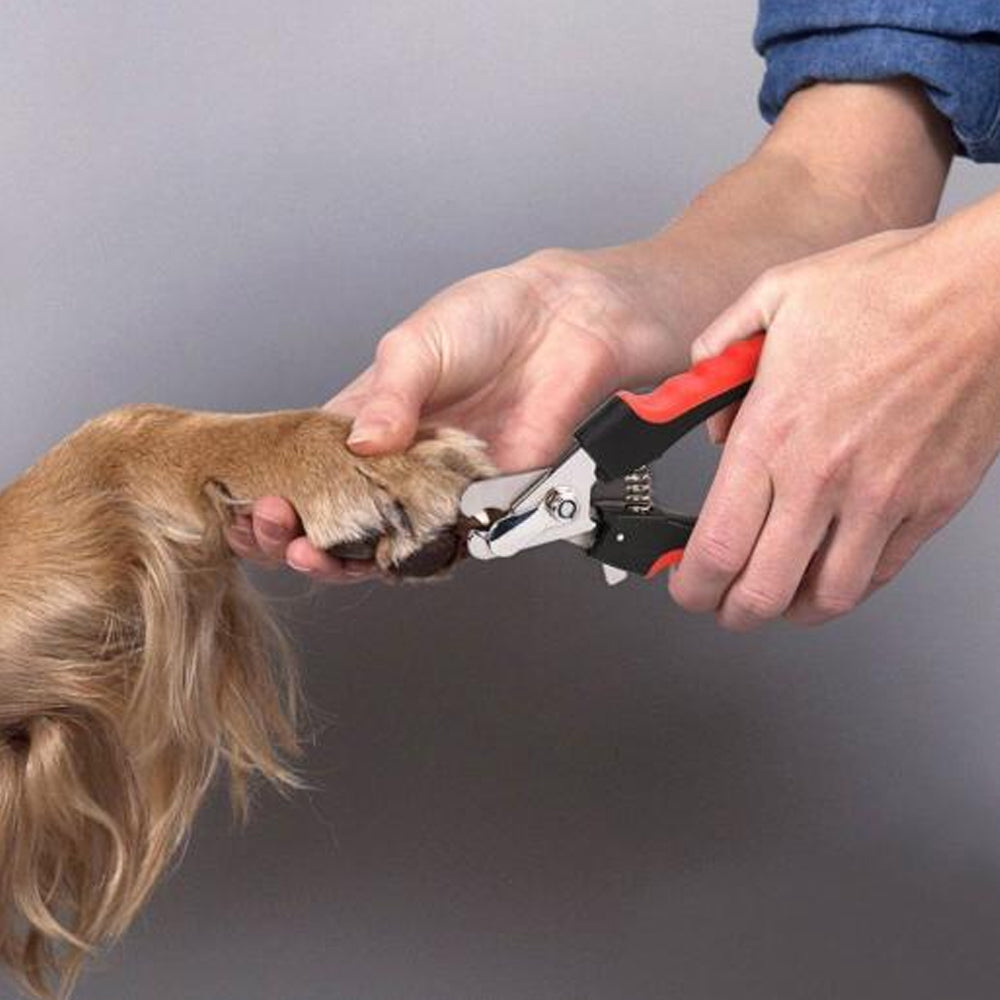 Tagliaunghie per cani con chiusura di sicurezza