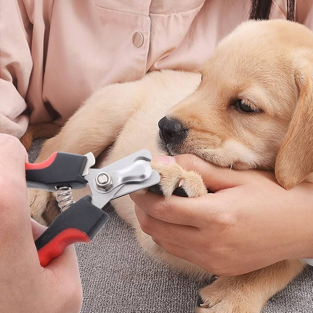 Nagelknipser für Hunde mit Sicherheitsverschluss