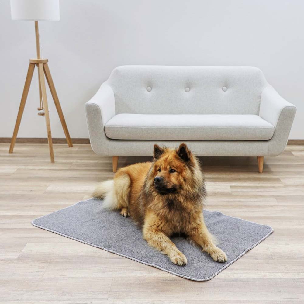 tappeto anti scivolo cane