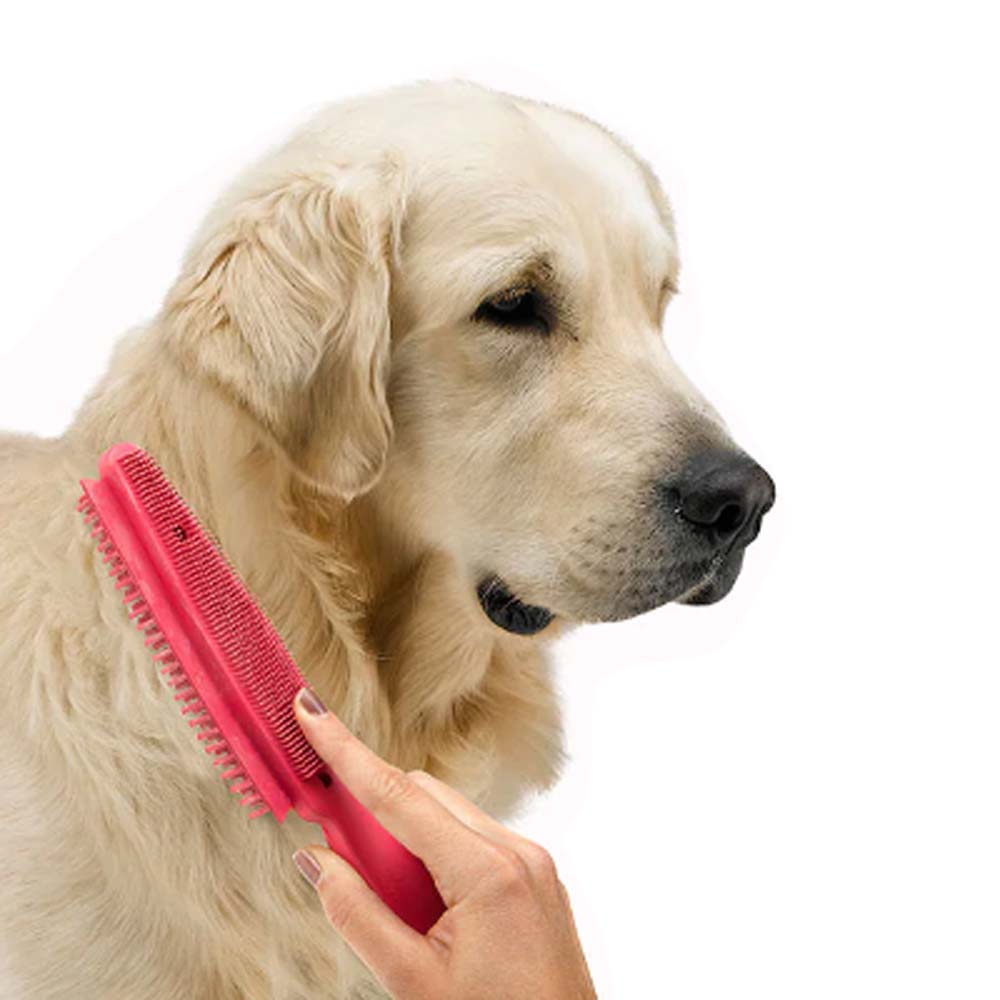 Spazzola In Gomma Per Cani