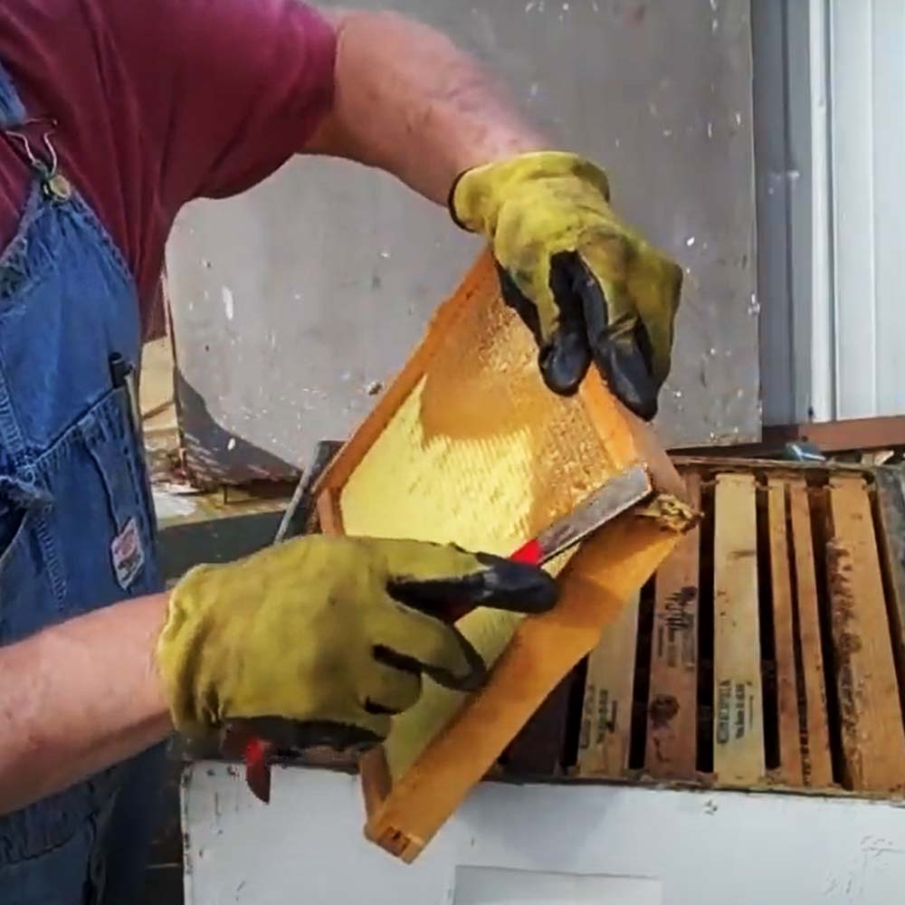 Raschiatori per alveare