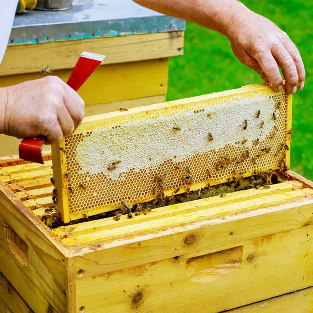 Raschiatori per alveare