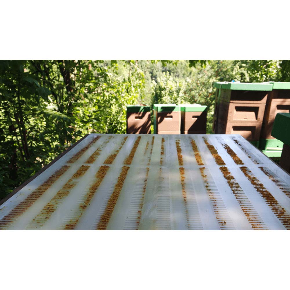 11 standard reticolo di propoli di bottino di dimensioni