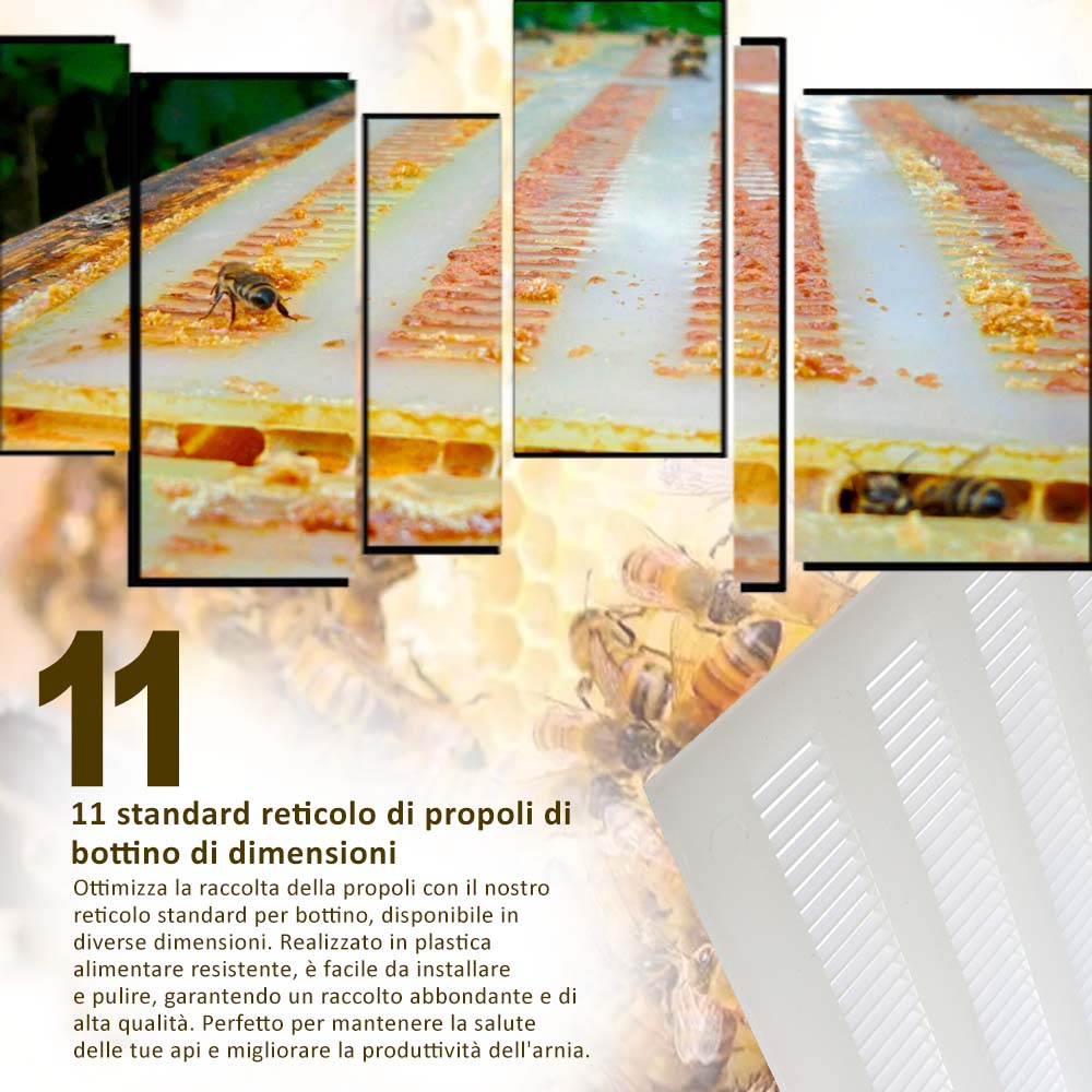 11 standard reticolo di propoli di bottino di dimensioni