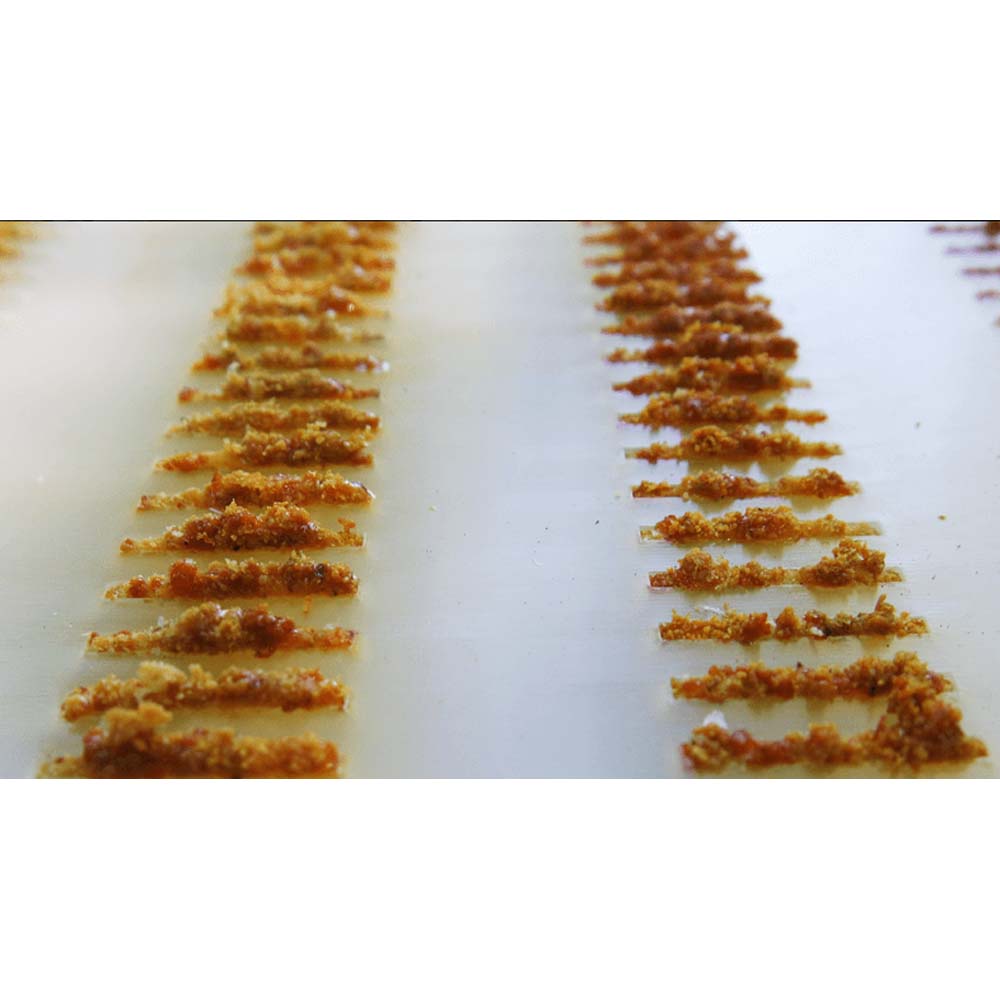 11 standard reticolo di propoli di bottino di dimensioni