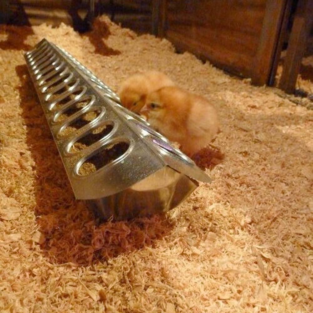 Mangiatoia A Fori Per Pulcini 16 Fori 30 cm