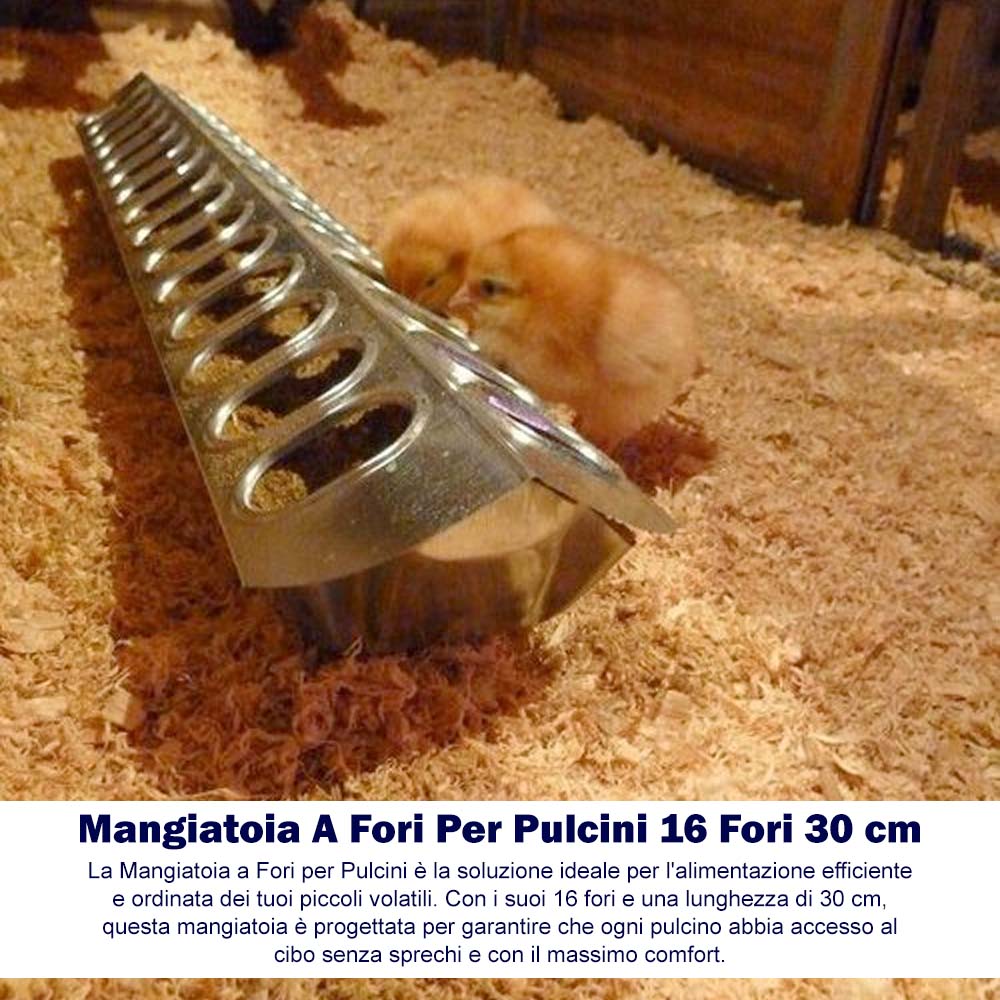 Mangiatoia A Fori Per Pulcini 16 Fori 30 cm