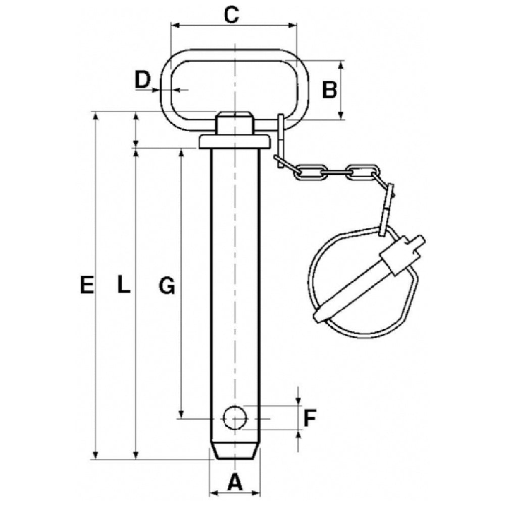 Perno di Traino con Catena e Spillo di Sicurezza