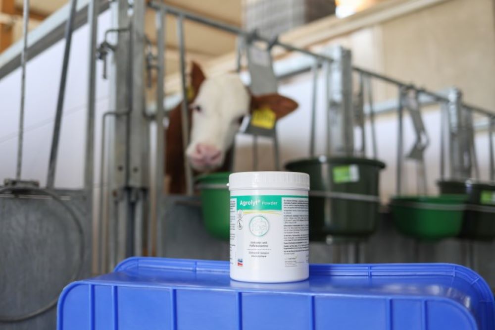 Mangime complementare Agrolyt Powder 1kg