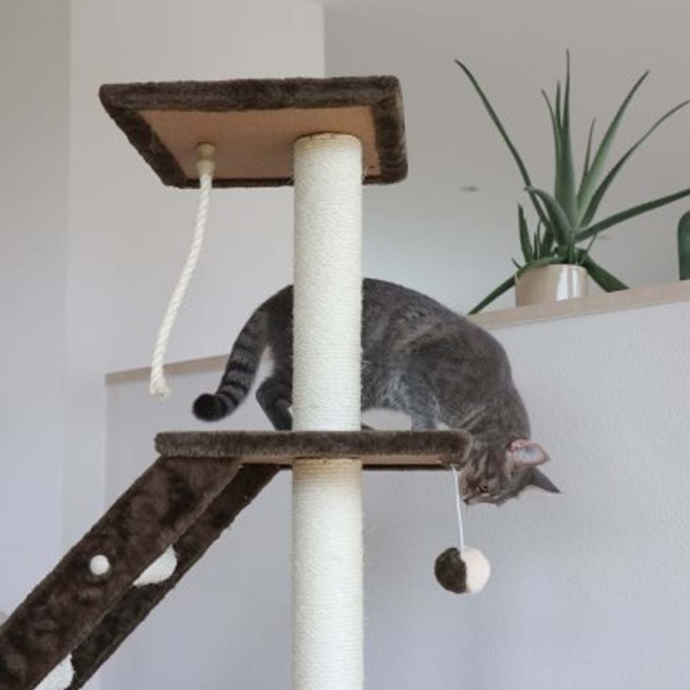 Albero tiragraffi Granat per gioco