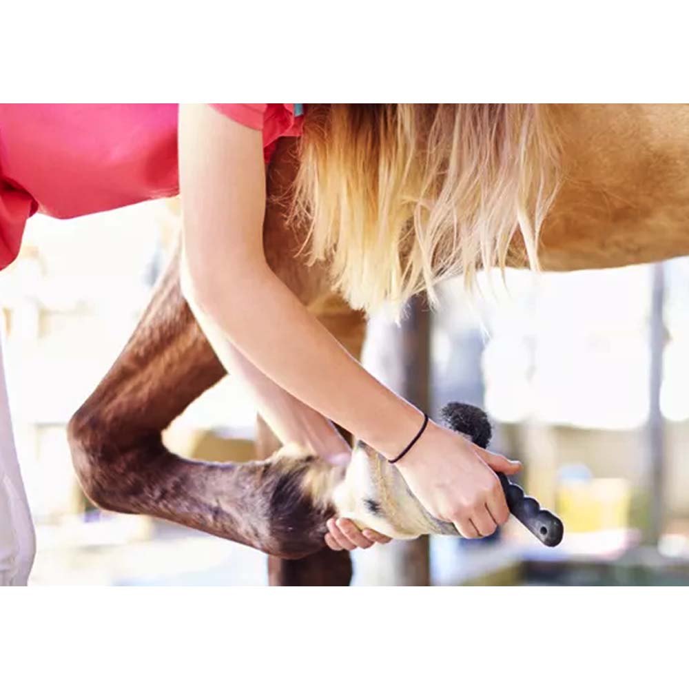 Nettapiede cavallo in plastica con spazzola