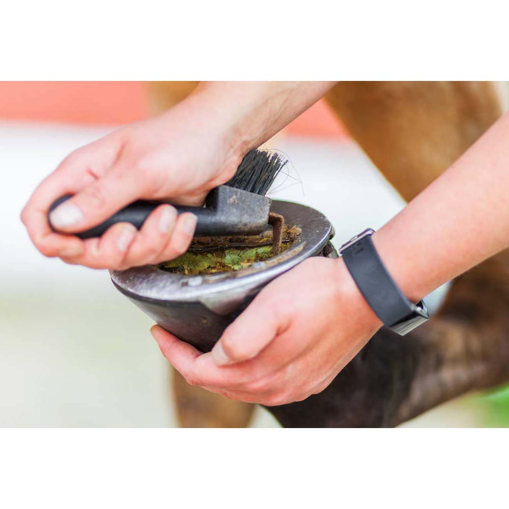 Nettapiede cavallo in plastica con spazzola