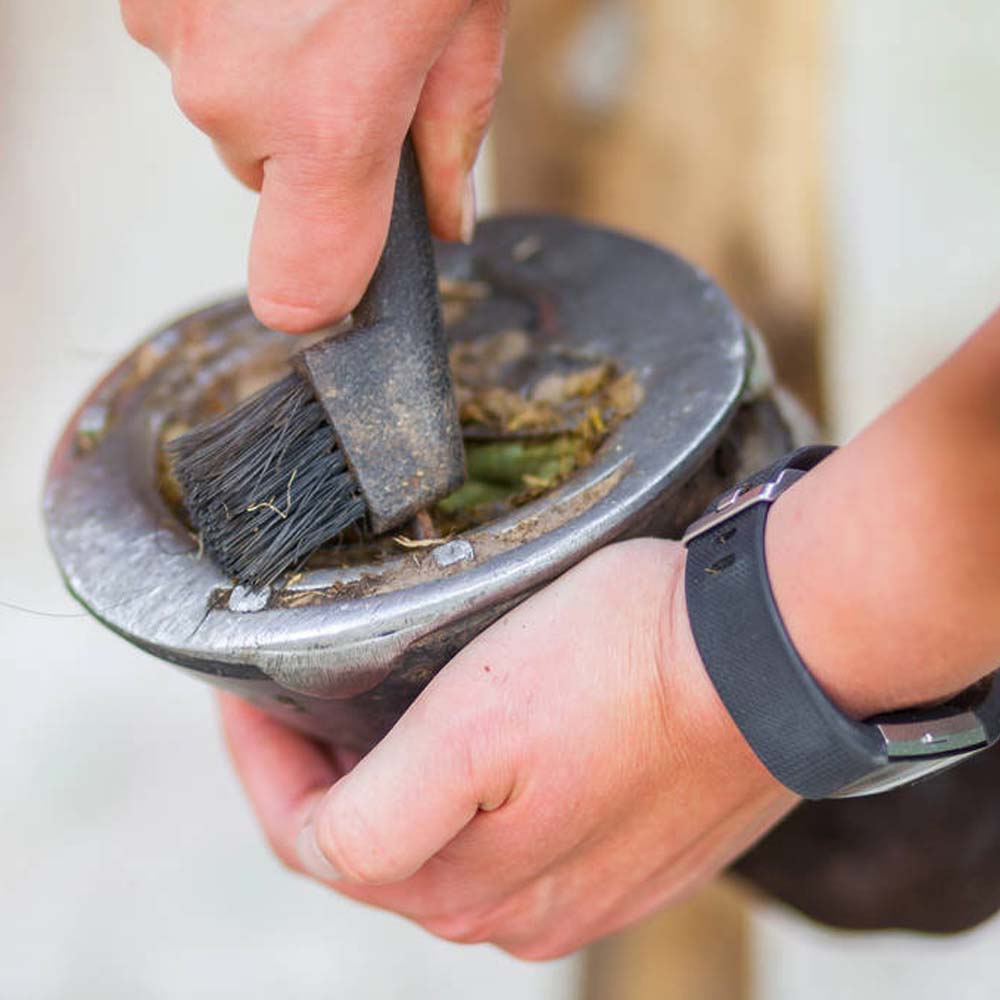 Nettapiede cavallo in plastica con spazzola