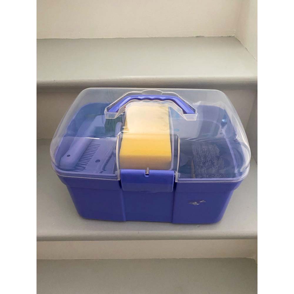 Kit attrezzi cura e igiene cavallo per bambini