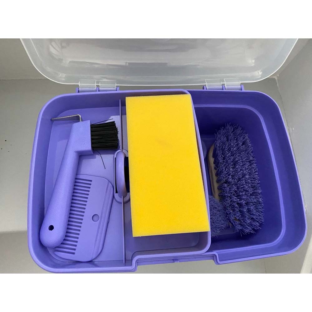 Kit attrezzi cura e igiene cavallo per bambini