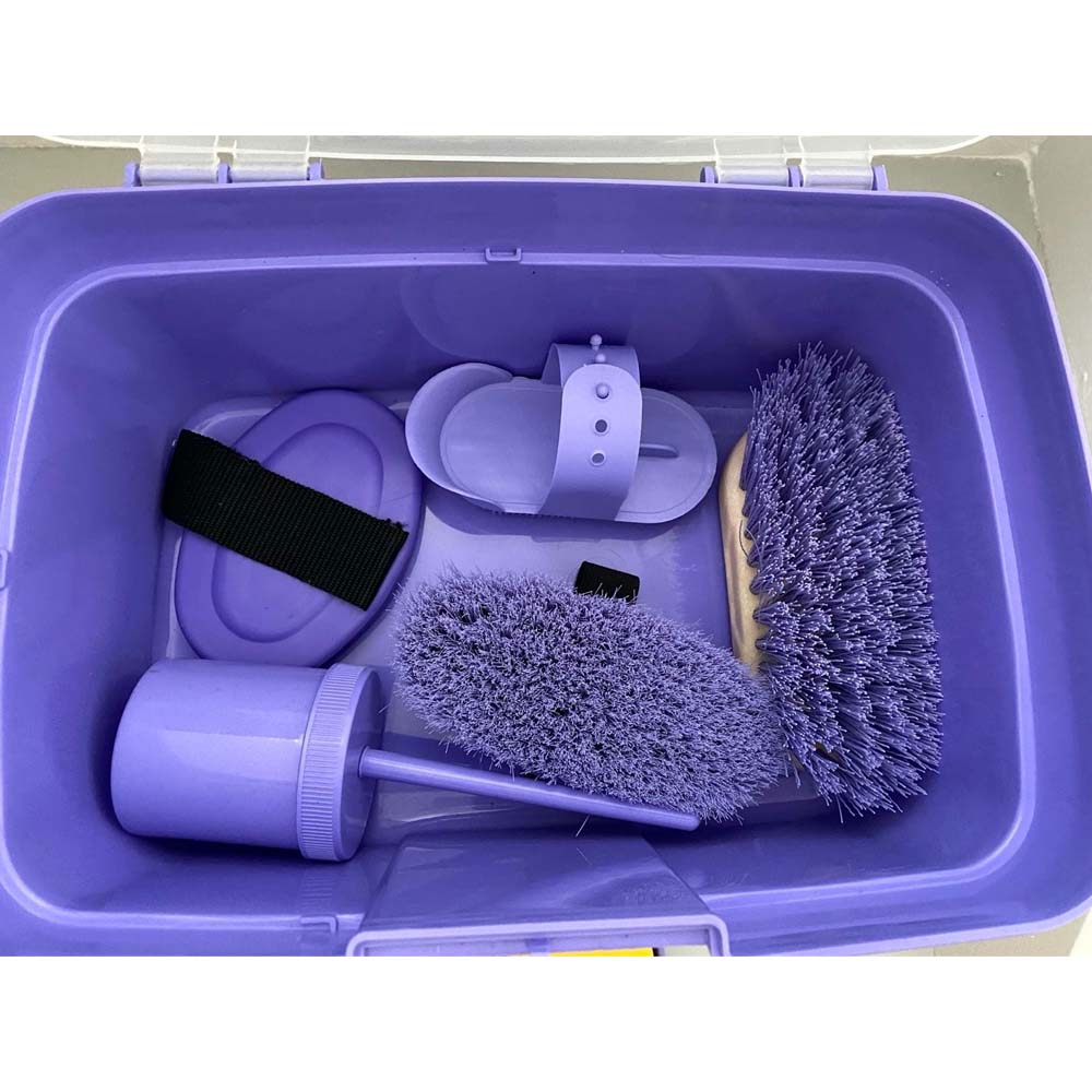 Kit attrezzi cura e igiene cavallo per bambini