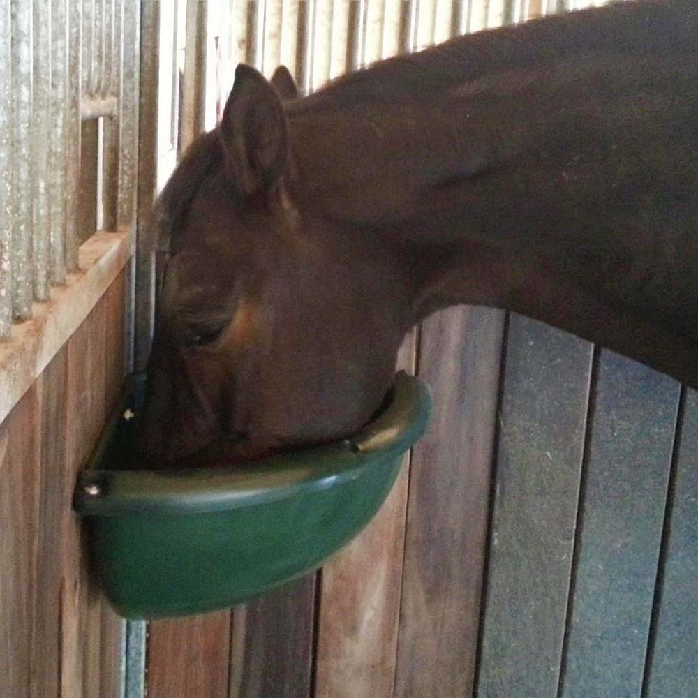 Prodotti KERBL per Bestiame