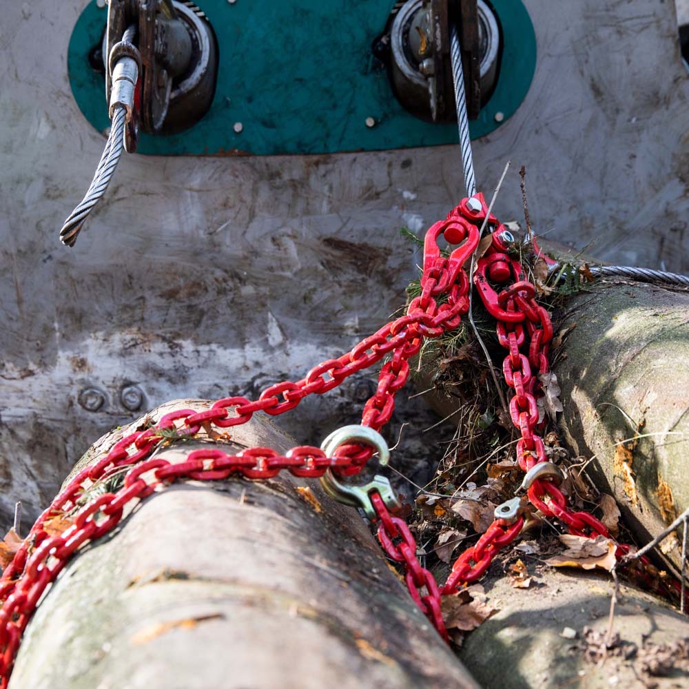 Gancio girevole fune-catena GB8 per catena