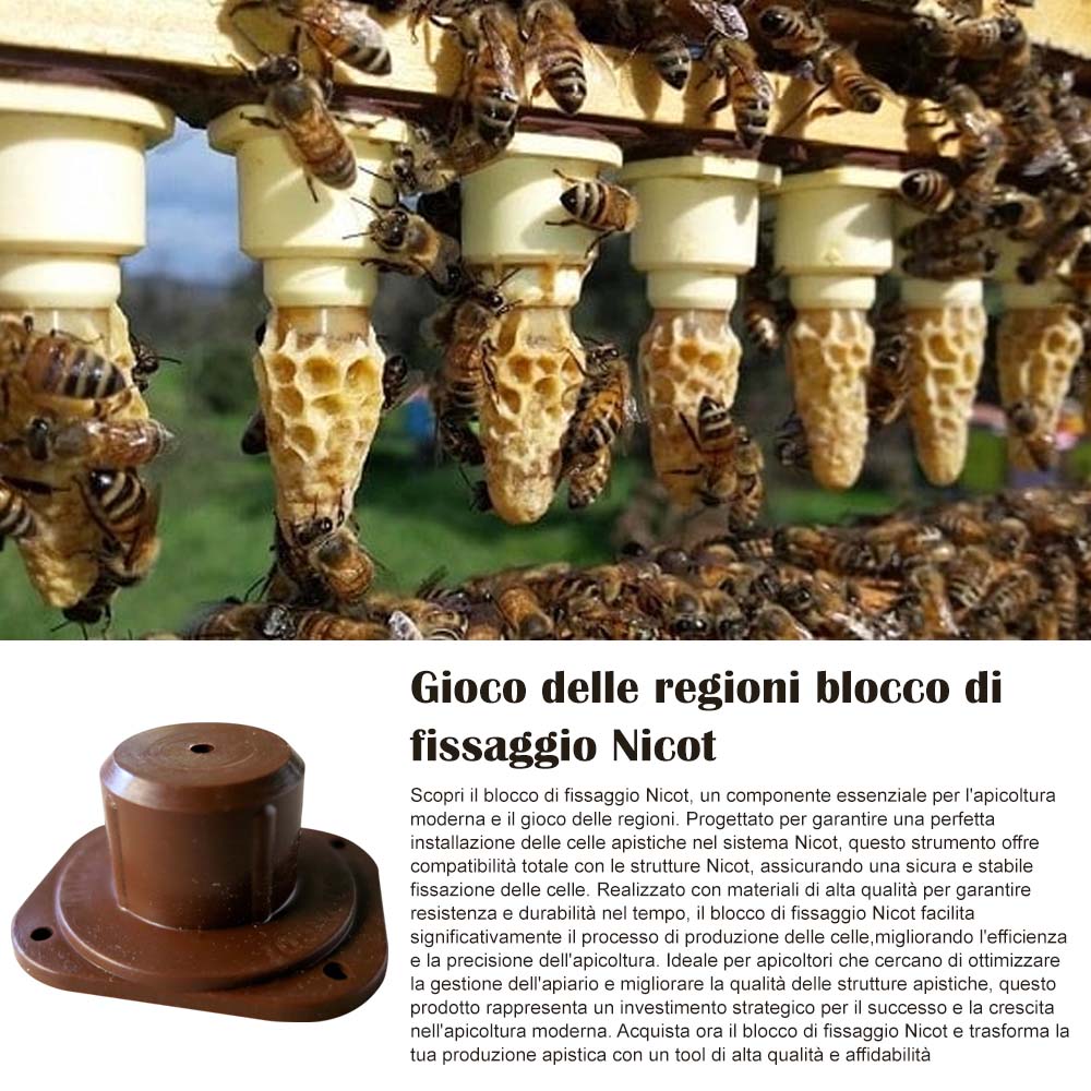 Gioco delle regioni blocco di fissaggio Nicot