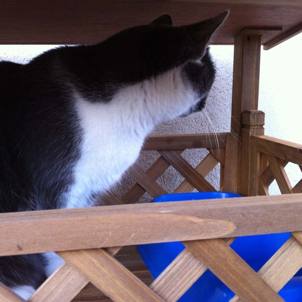 Casa per gatti Lodge a 2 piani