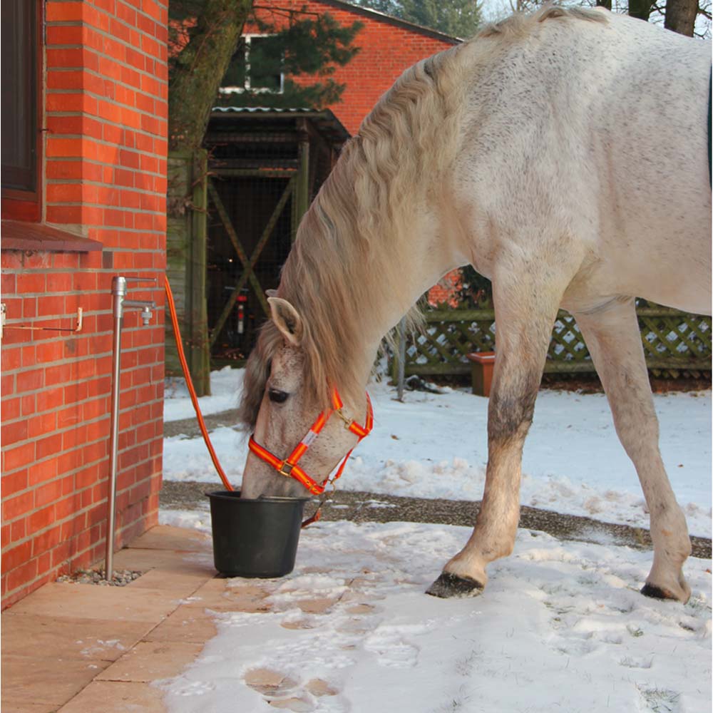 Resistente al gelo Yard idrante