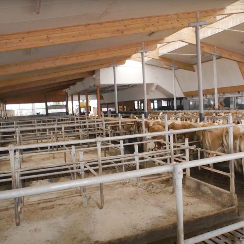 Gullemax Additivo per il suolo