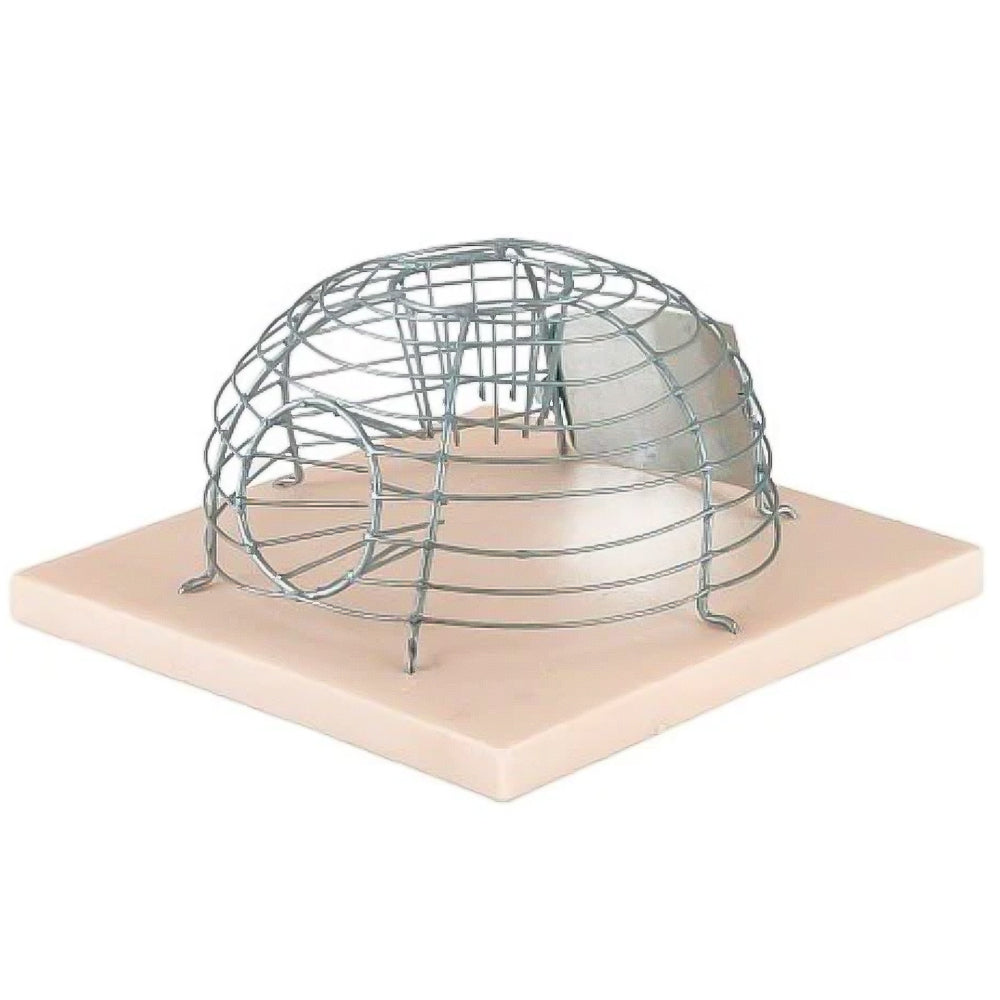 Cestino Trappola Per Topi
