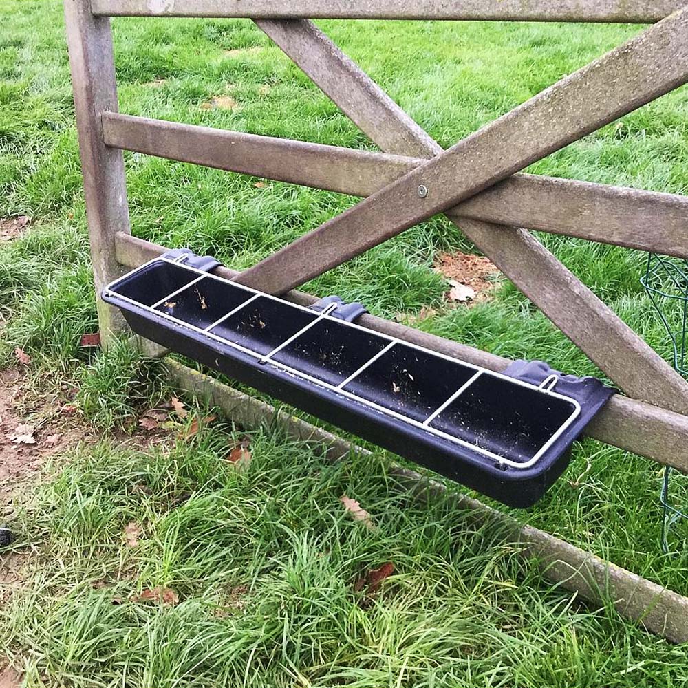 Mangiatoia lunga con ringhiera per capre e pecore