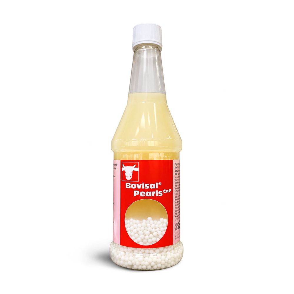Chevita Pearls CaP Bovisal 600g