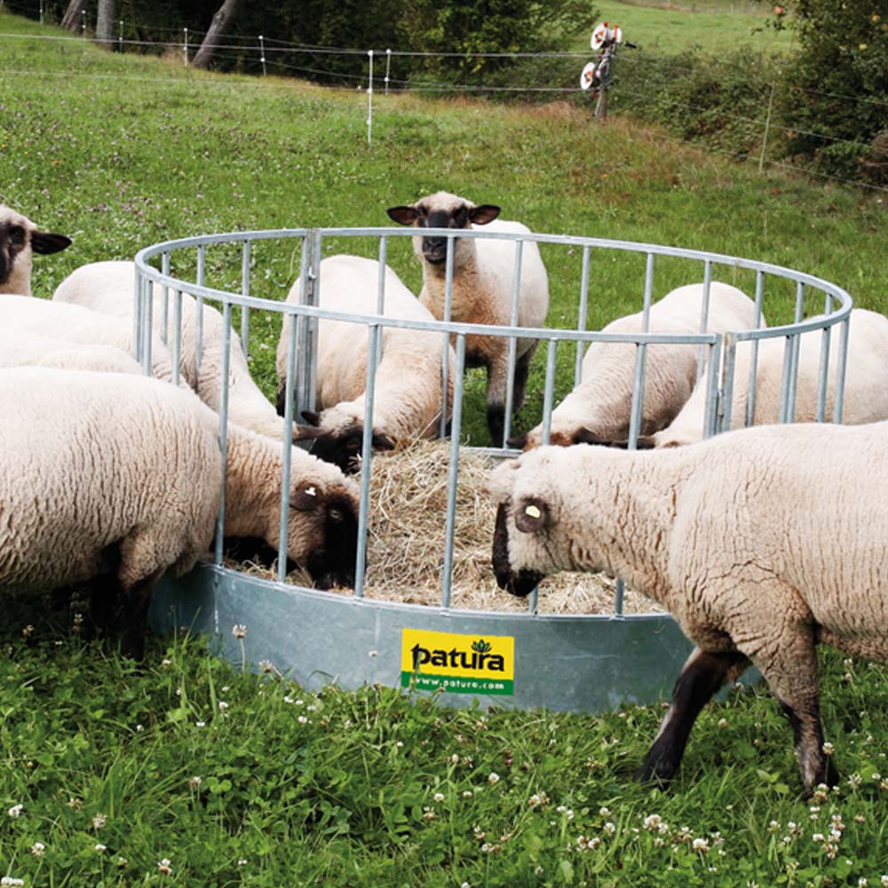 Mangiatoia Rotonda – Soluzione Pratica e Resistente per l'Alimentazione