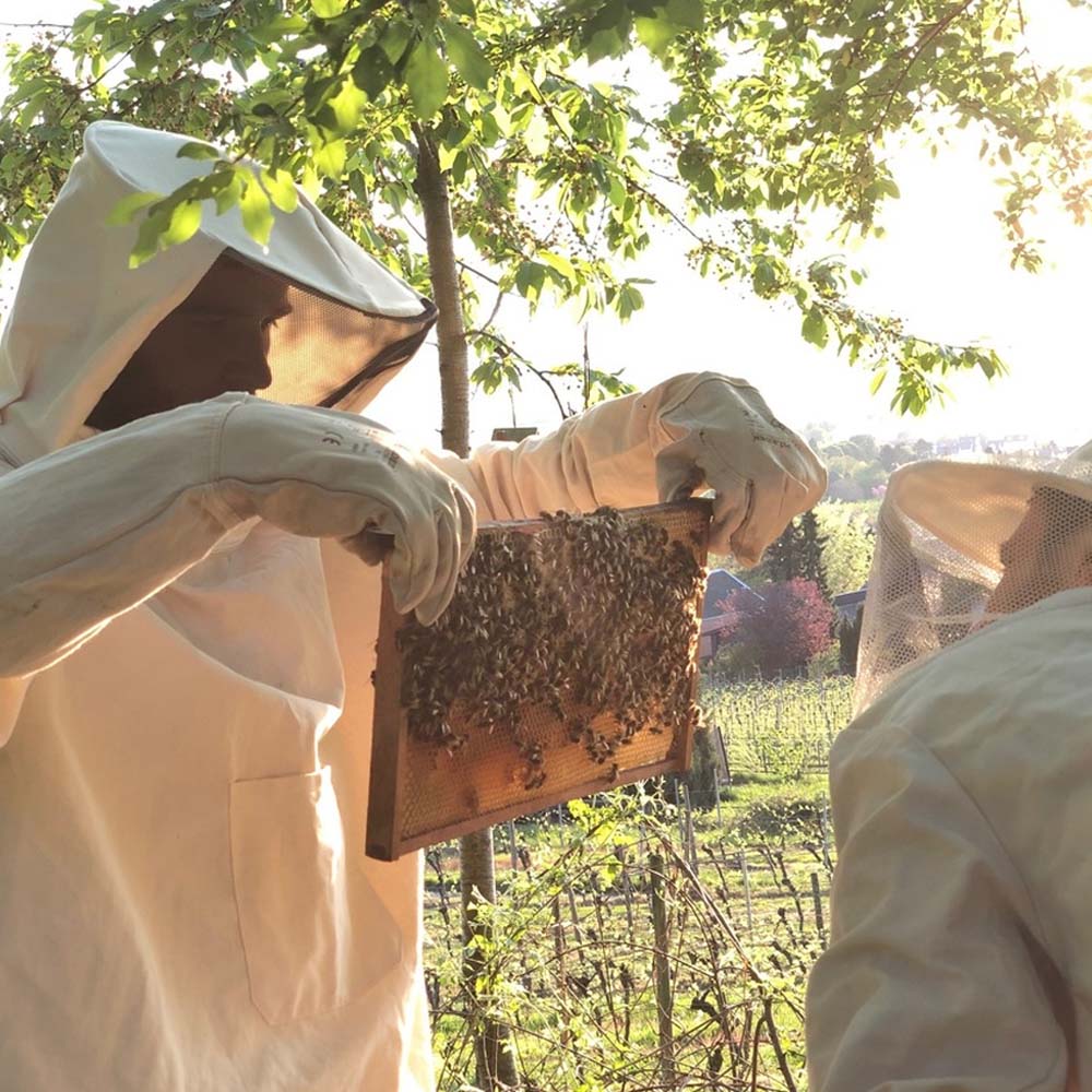 Guanti In Nappa Di Vacchetta