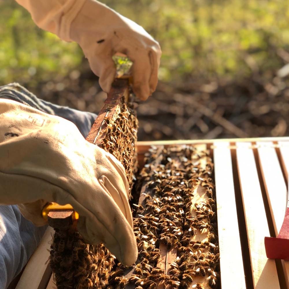 Guanti In Nappa Di Vacchetta