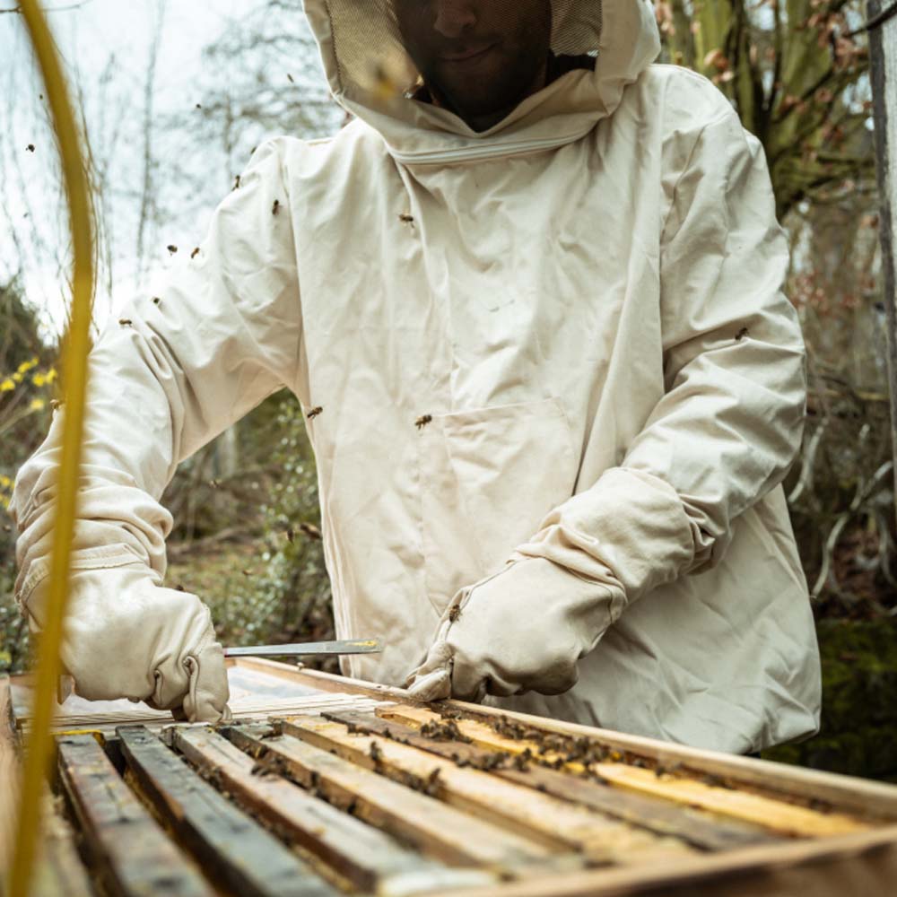 Guanti In Nappa Di Vacchetta