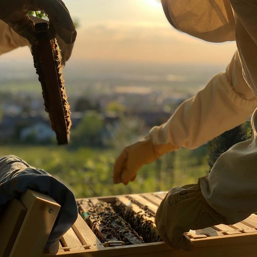 Guanti In Nappa Di Vacchetta