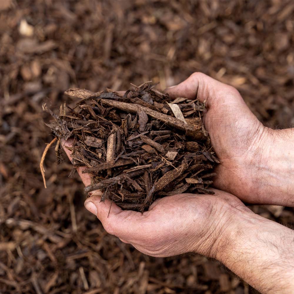 pacciamatura per piante