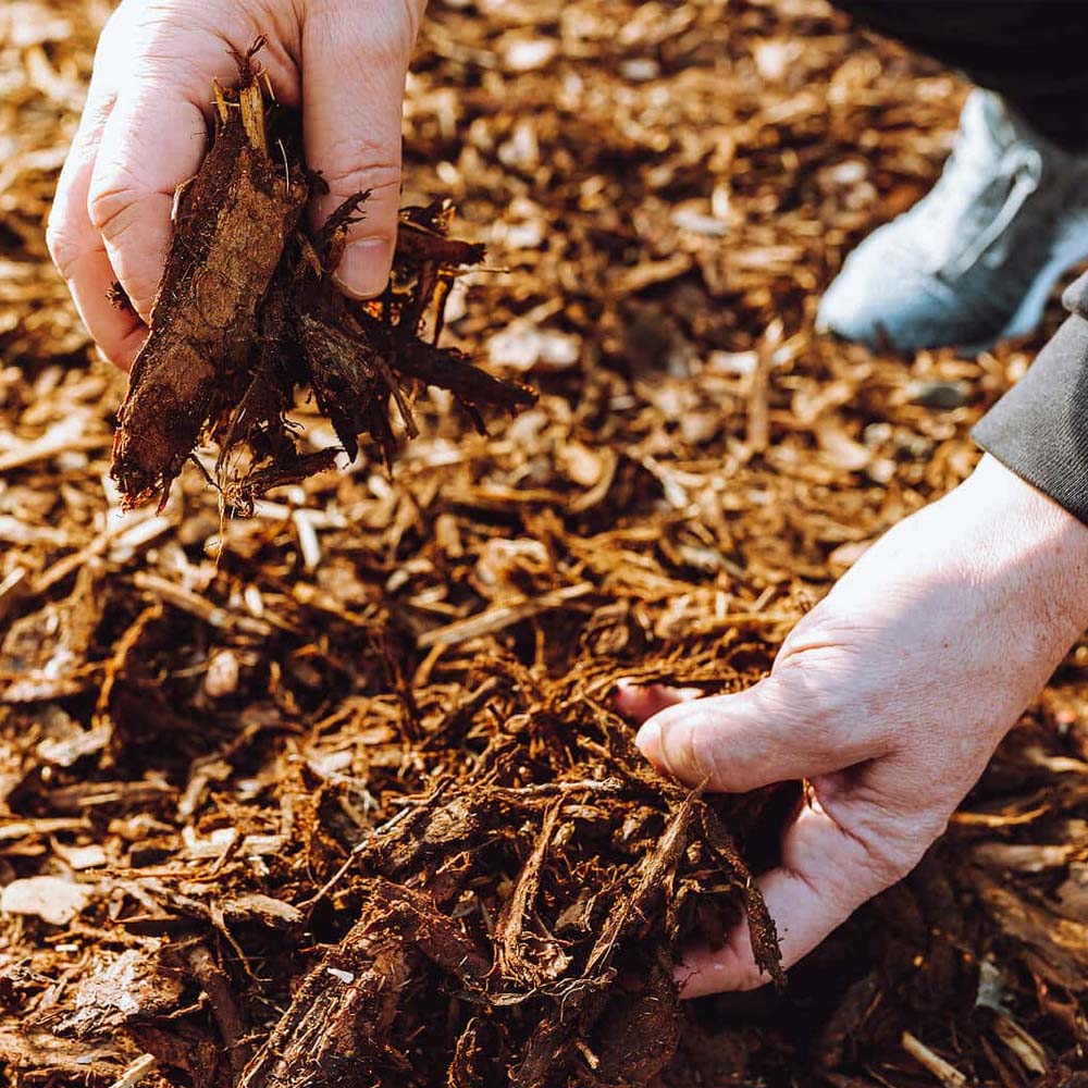 pacciamatura per orto