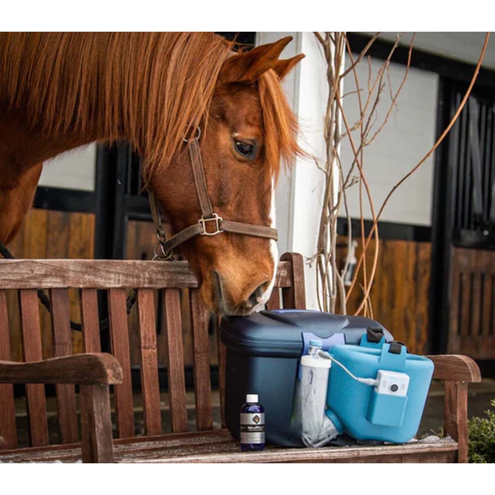 Bauletto Per la Cura e l'igiene Roma