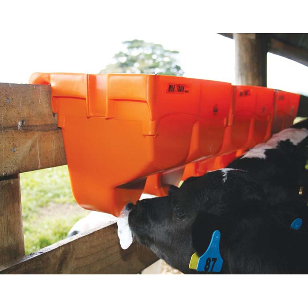 Tettarella Big Softy di abbeveratoi per vitelli Multi alimentatore