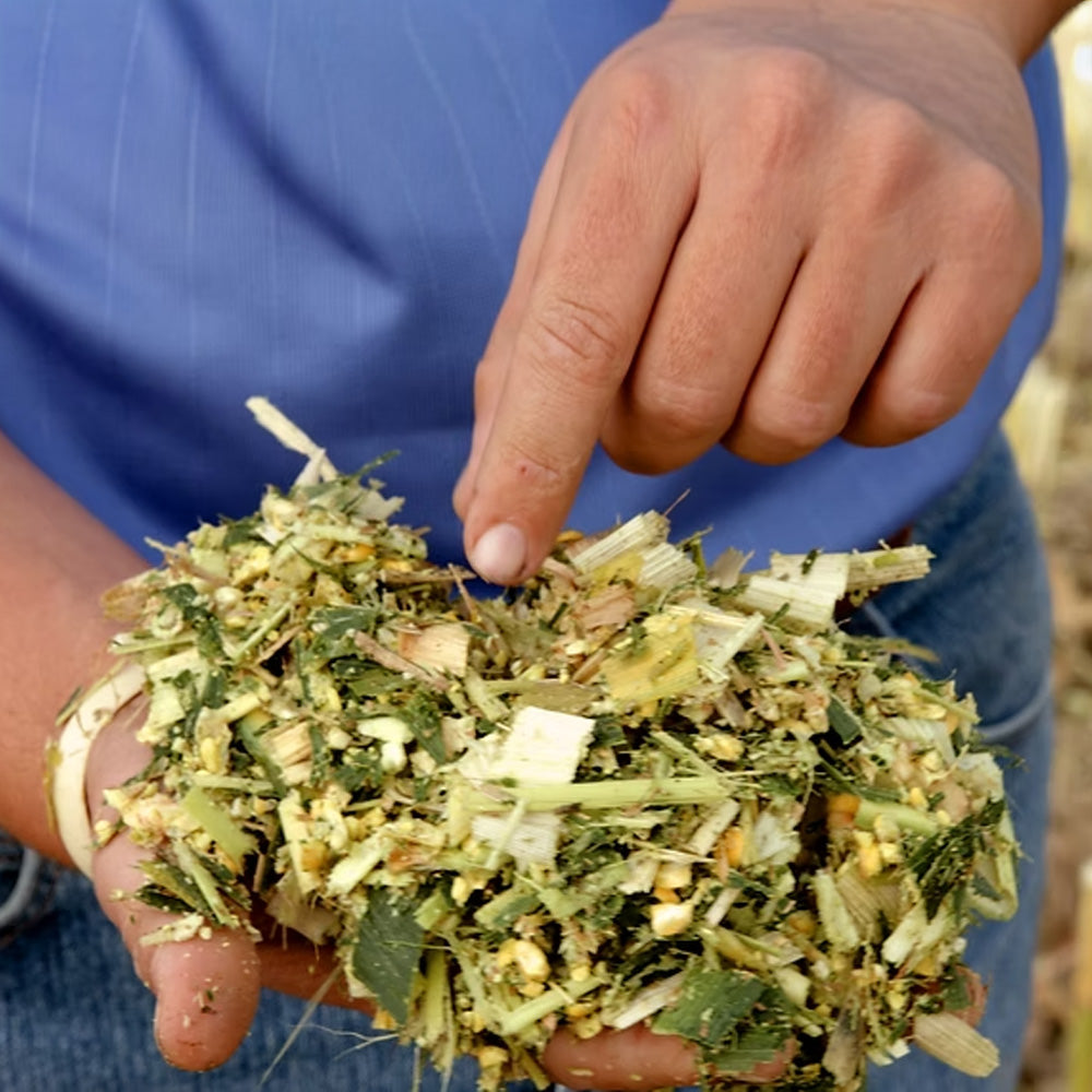 Additivi insilati Pioneer 11CFT