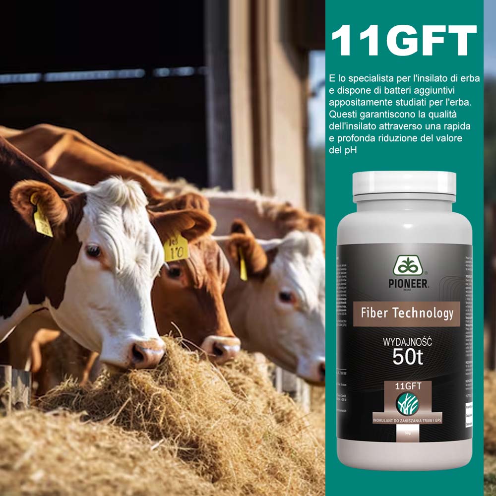 Additivi insilati Pioneer 11GFT Fiber Tec 50g
